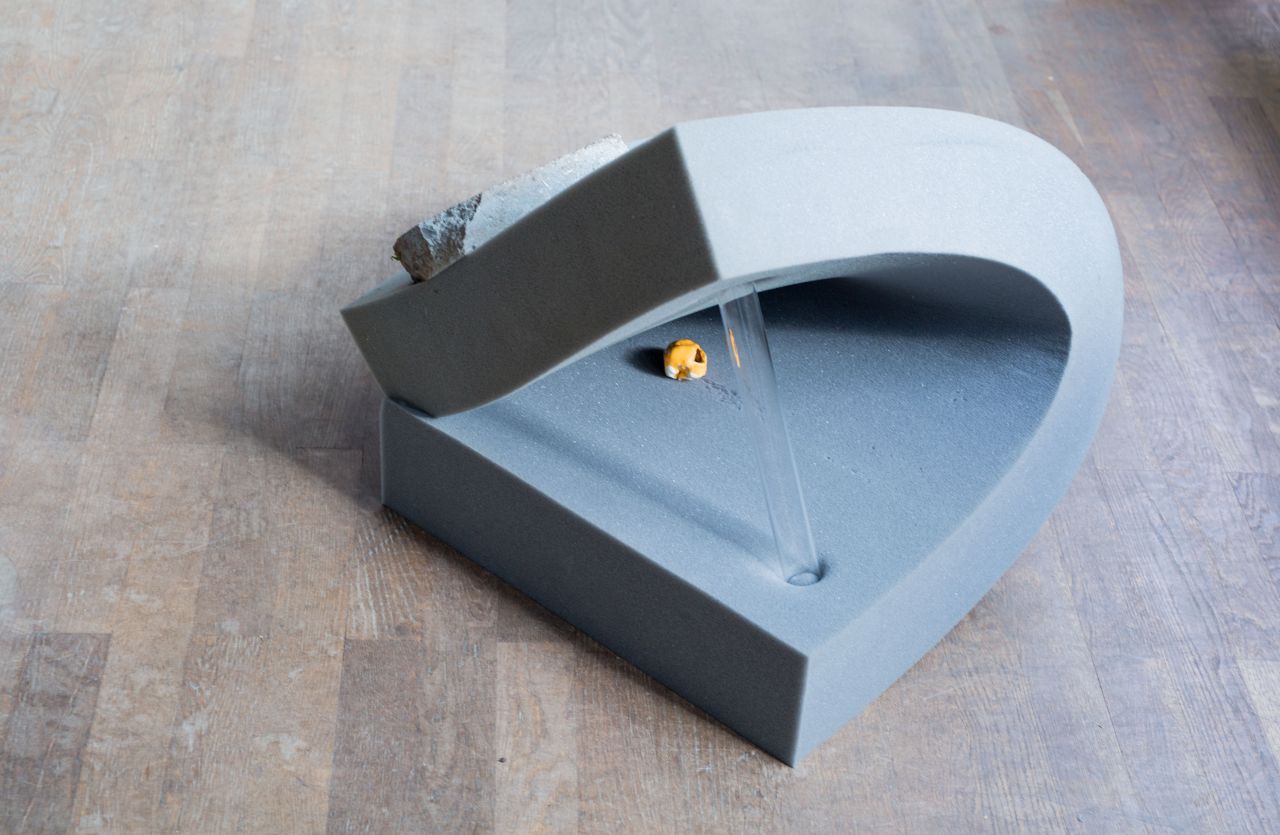 Buntetorfmoosgesellschaft (Arbeitstitel)