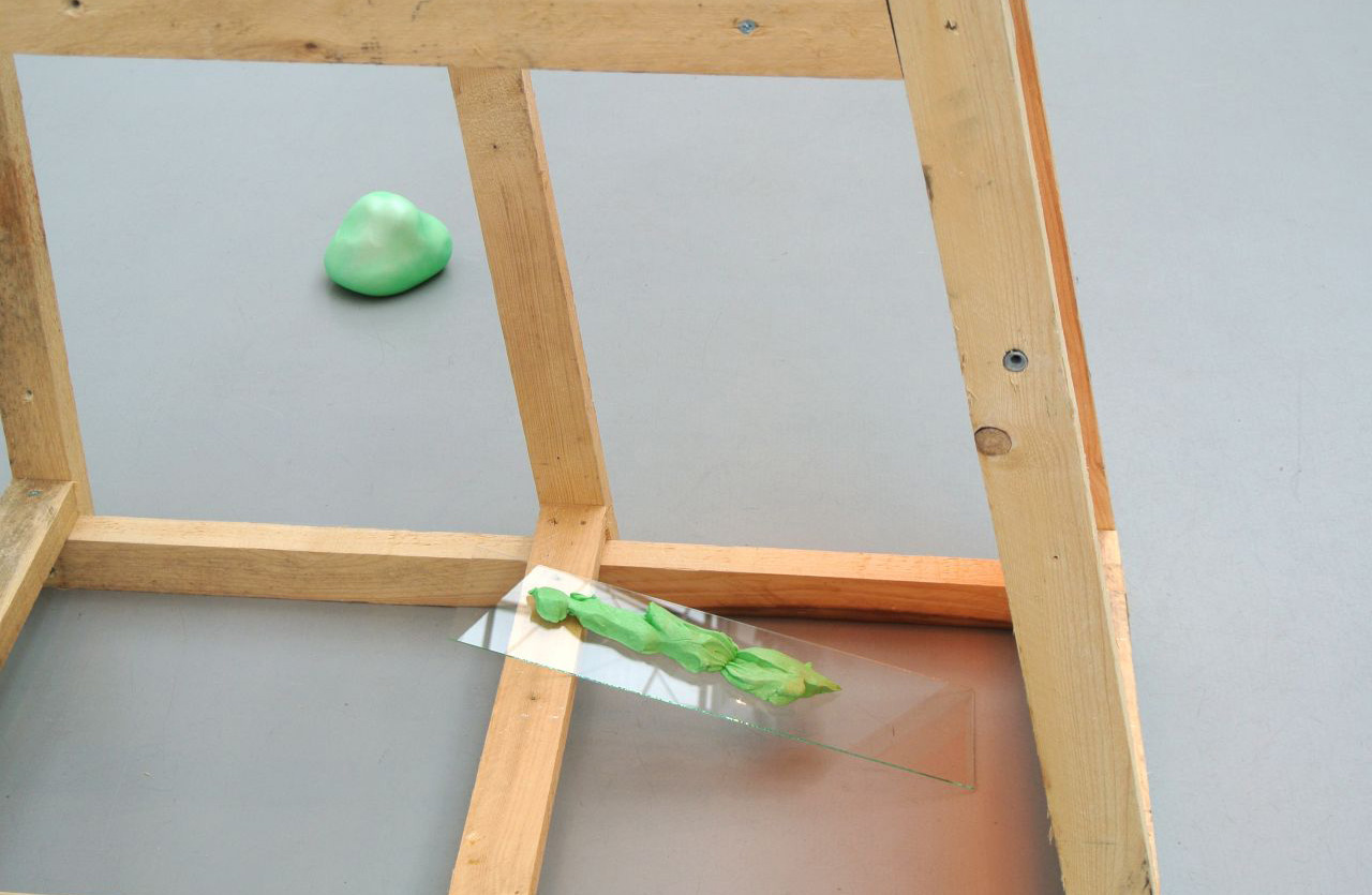 Buntetorfmoosgesellschaft (Arbeitstitel)