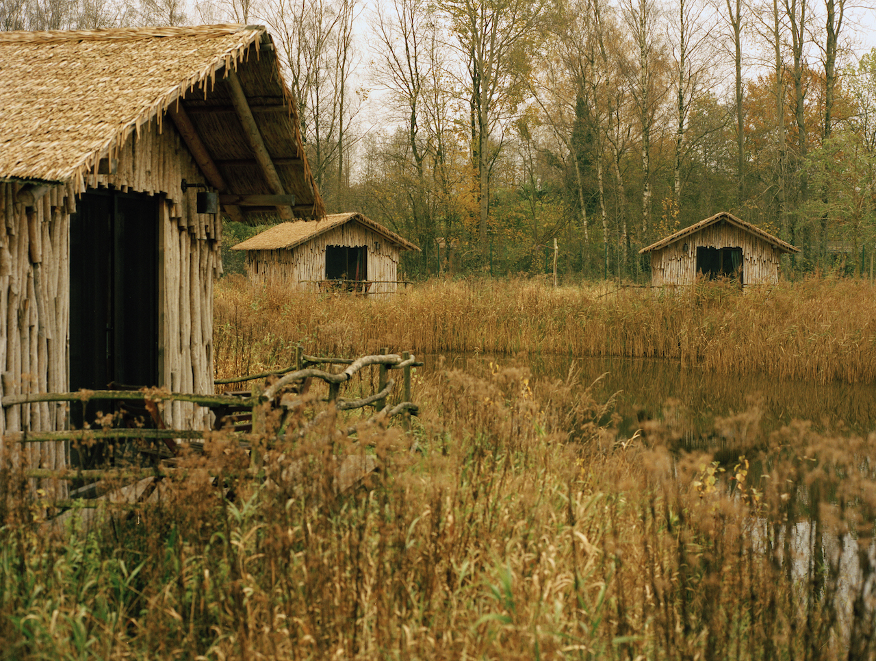 Fall at Lake Victoria