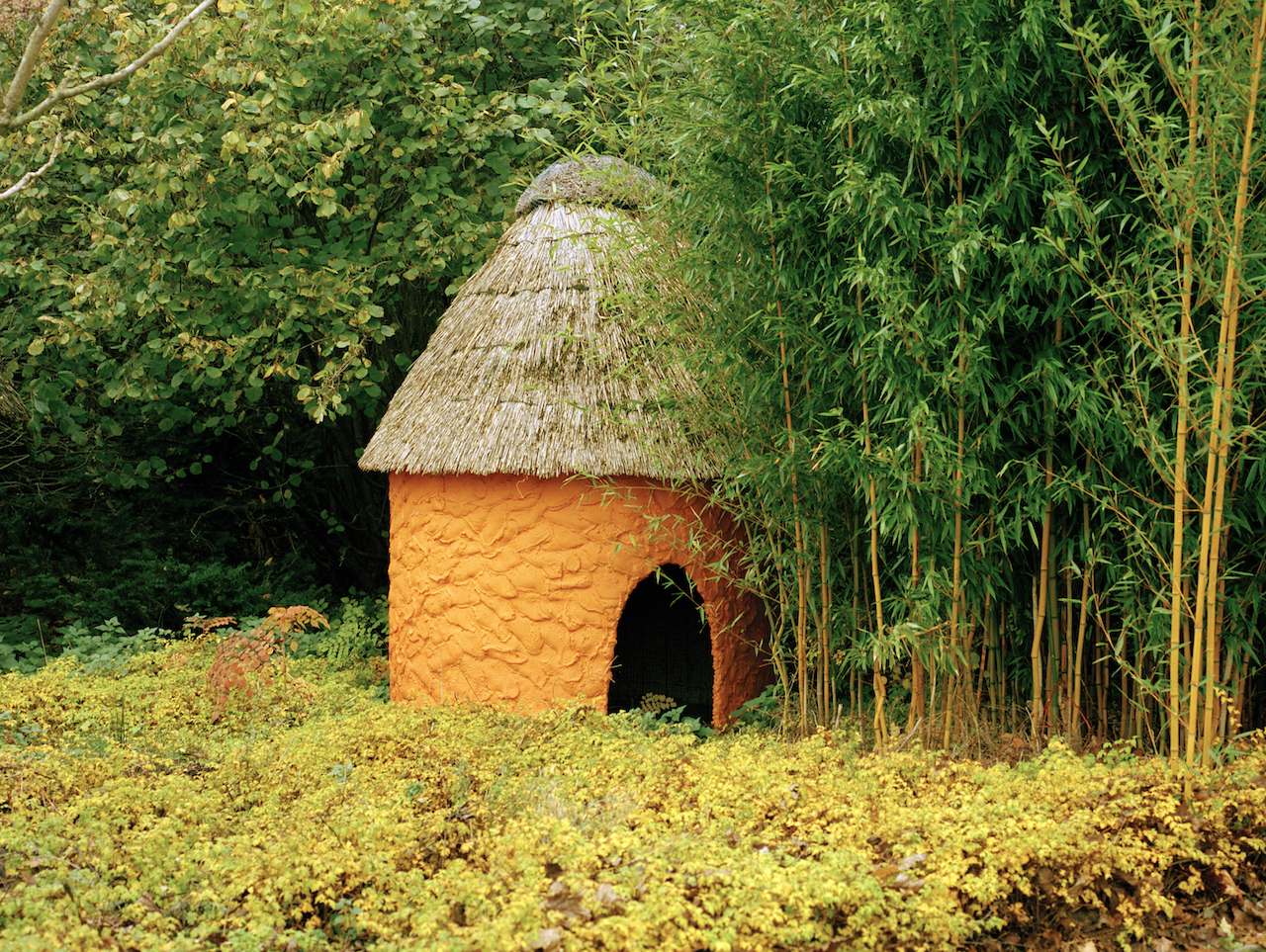 Fall at Lake Victoria