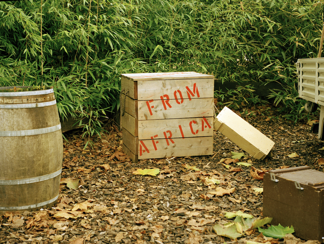 Fall at Lake Victoria
