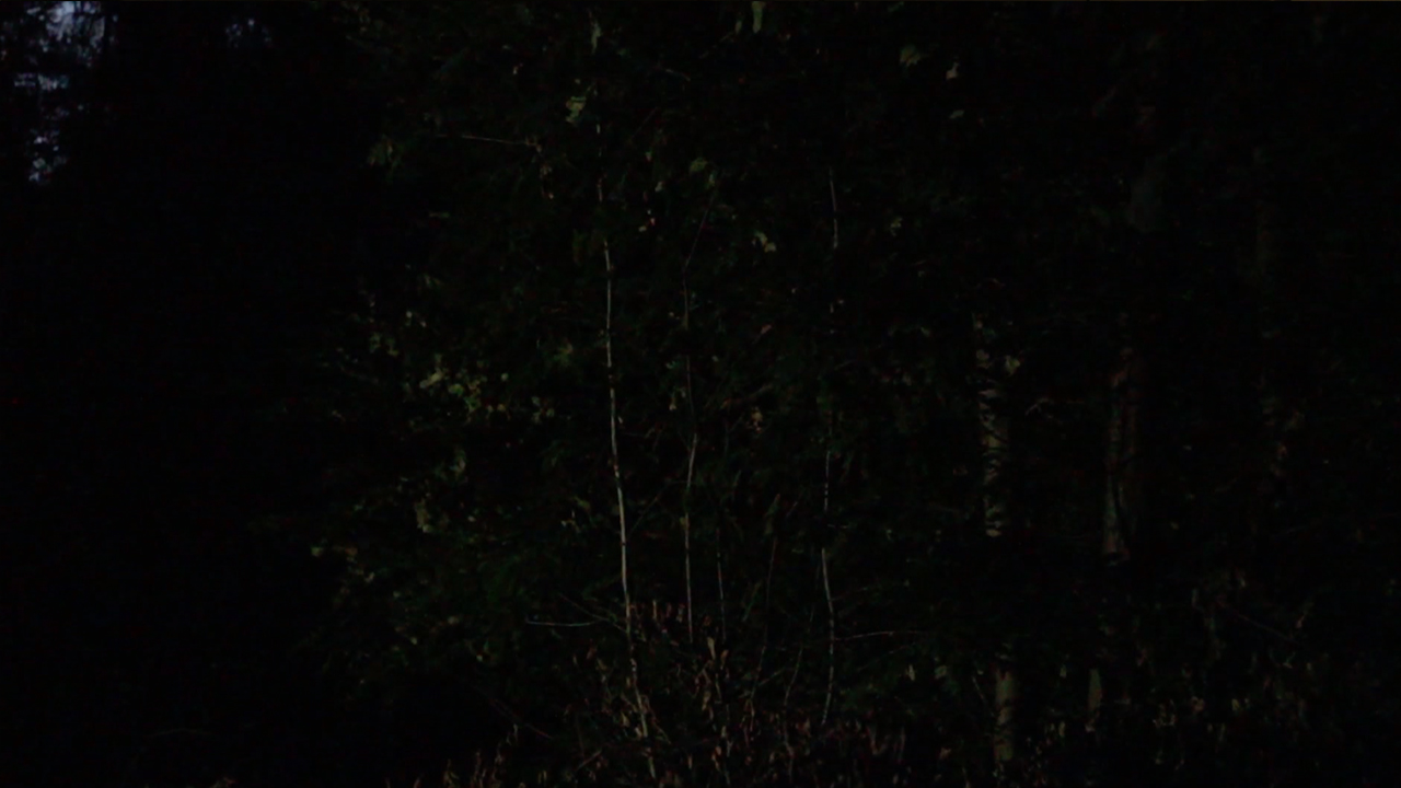 Ein Stück Nacht (...) aus dem Affekt