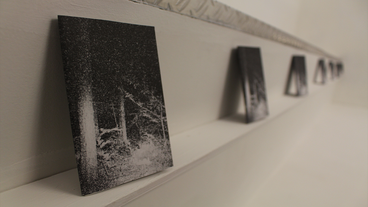 Ein Stück Nacht (...) aus dem Affekt